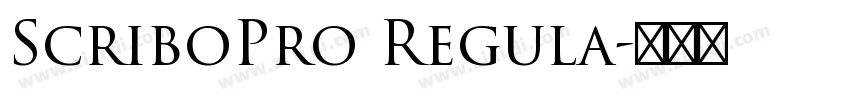 ScriboPro Regula字体转换 ScriboPro Regula字体转换